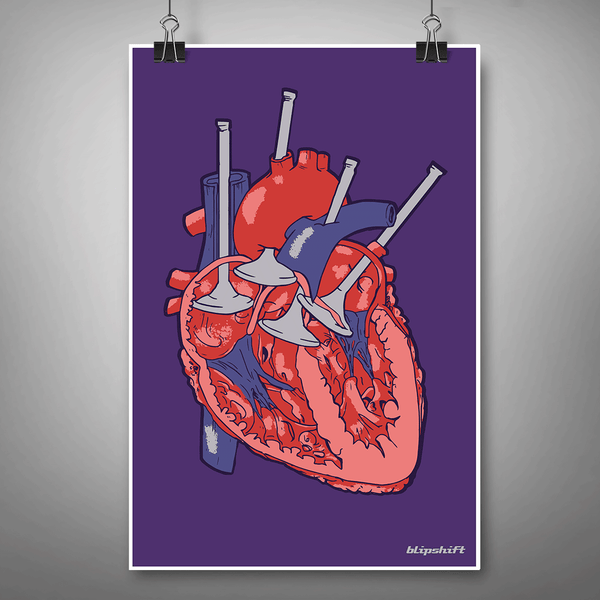 Cardiovalveular V Poster Product Image 2