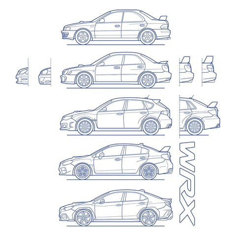 Link to Choose Your Rallyer