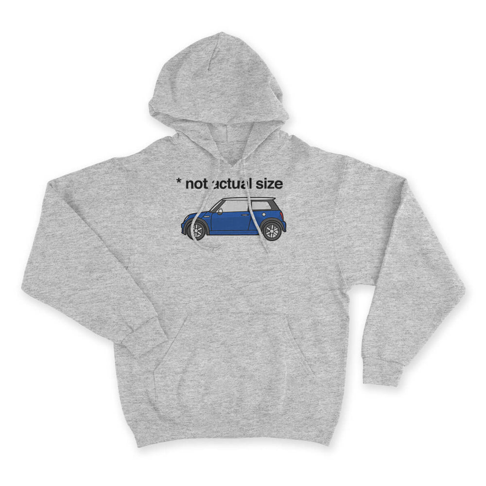 Not Actual Size Hoodie