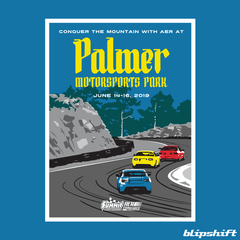 AER 2019 Palmer