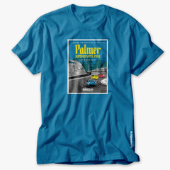 AER 2019 Palmer