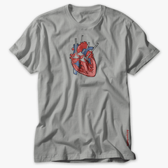 Cardiovalveular II