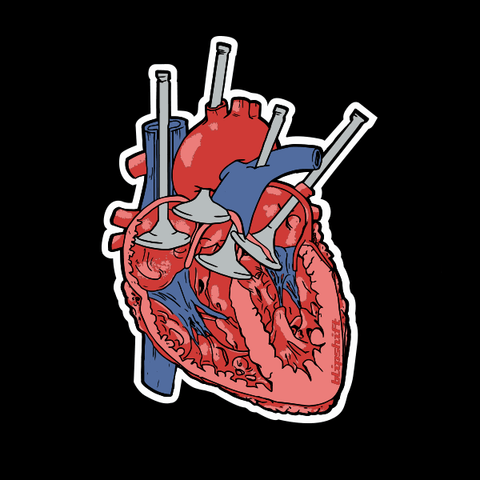 Cardiovalveular Sticker