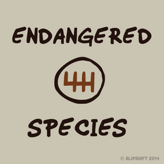 Conservation Expert  Design by 