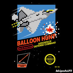 Balloon Hunt