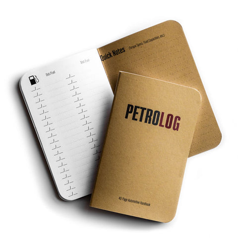 Petrolog Mini II