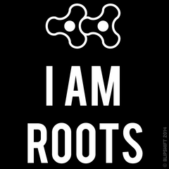 Guardians of the 1320  Design by 